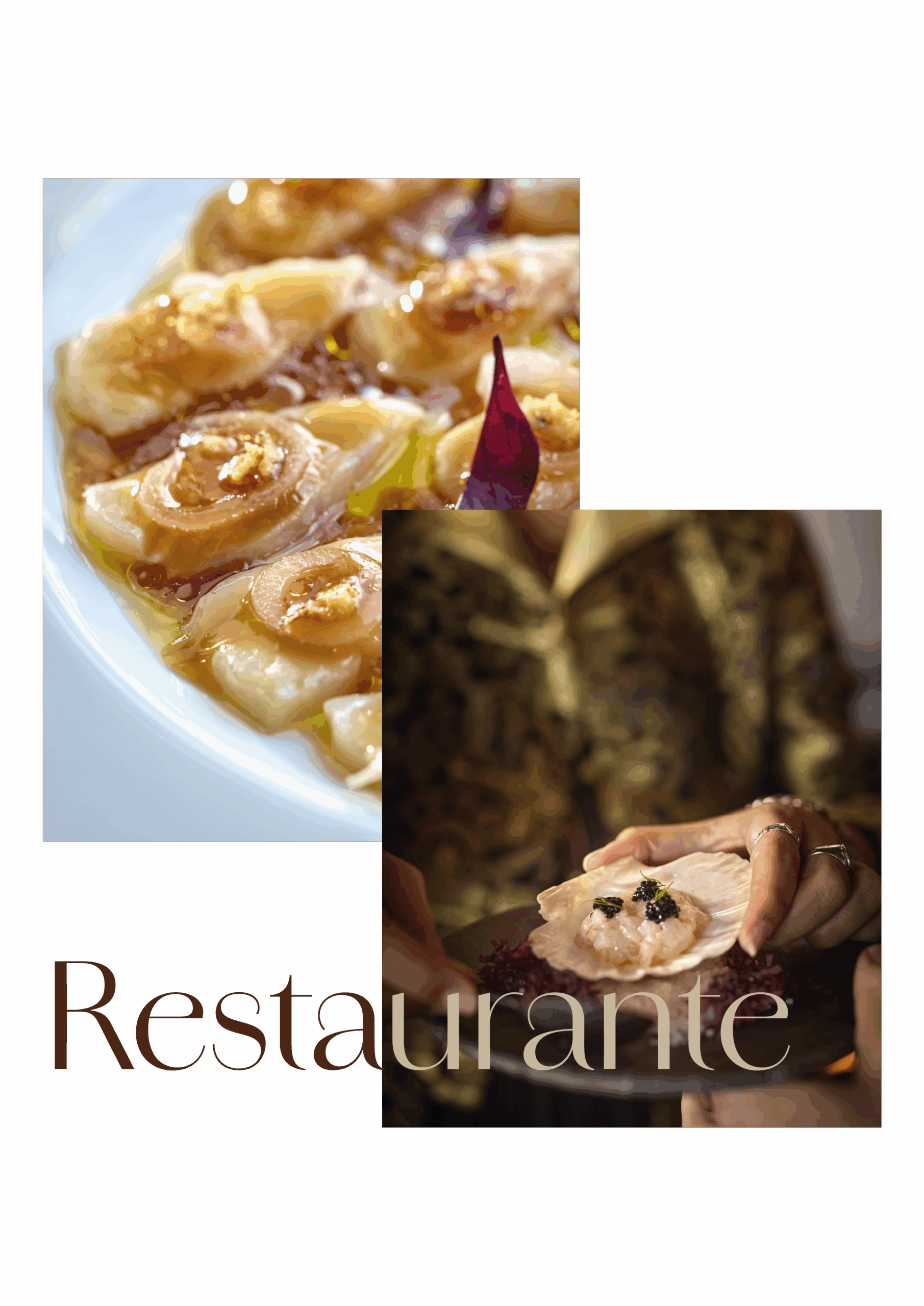 restaurante-cfg (1)